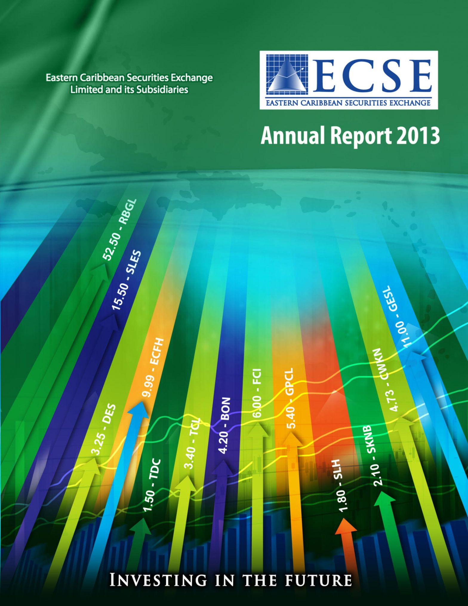 ECSE Annual Report 2013